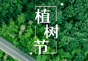 植树节：绿色同行，共筑生态未来